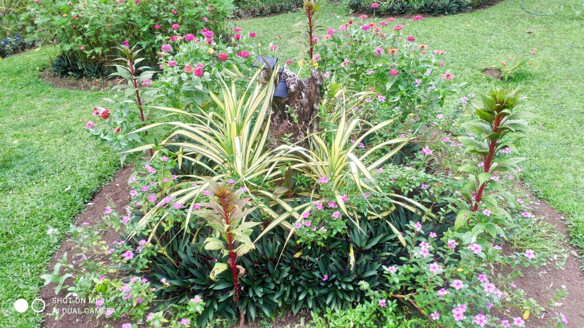 Sun House Rental Mambajao Exterior photo