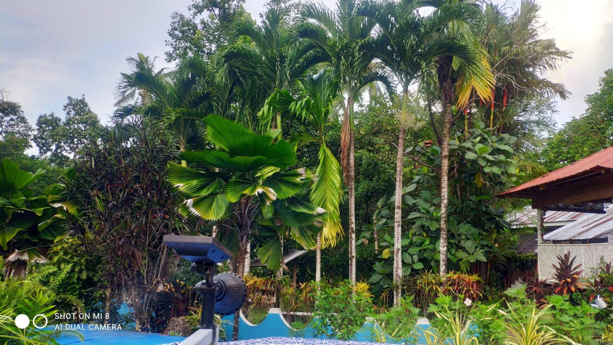 Sun House Rental Mambajao Exterior photo