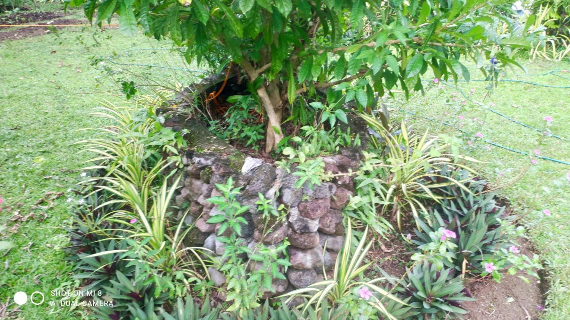 Sun House Rental Mambajao Exterior photo