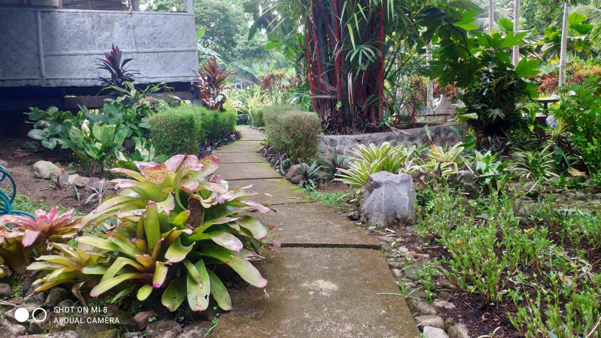 Sun House Rental Mambajao Exterior photo