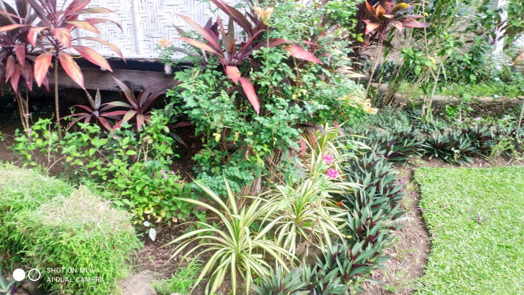 Sun House Rental Mambajao Exterior photo