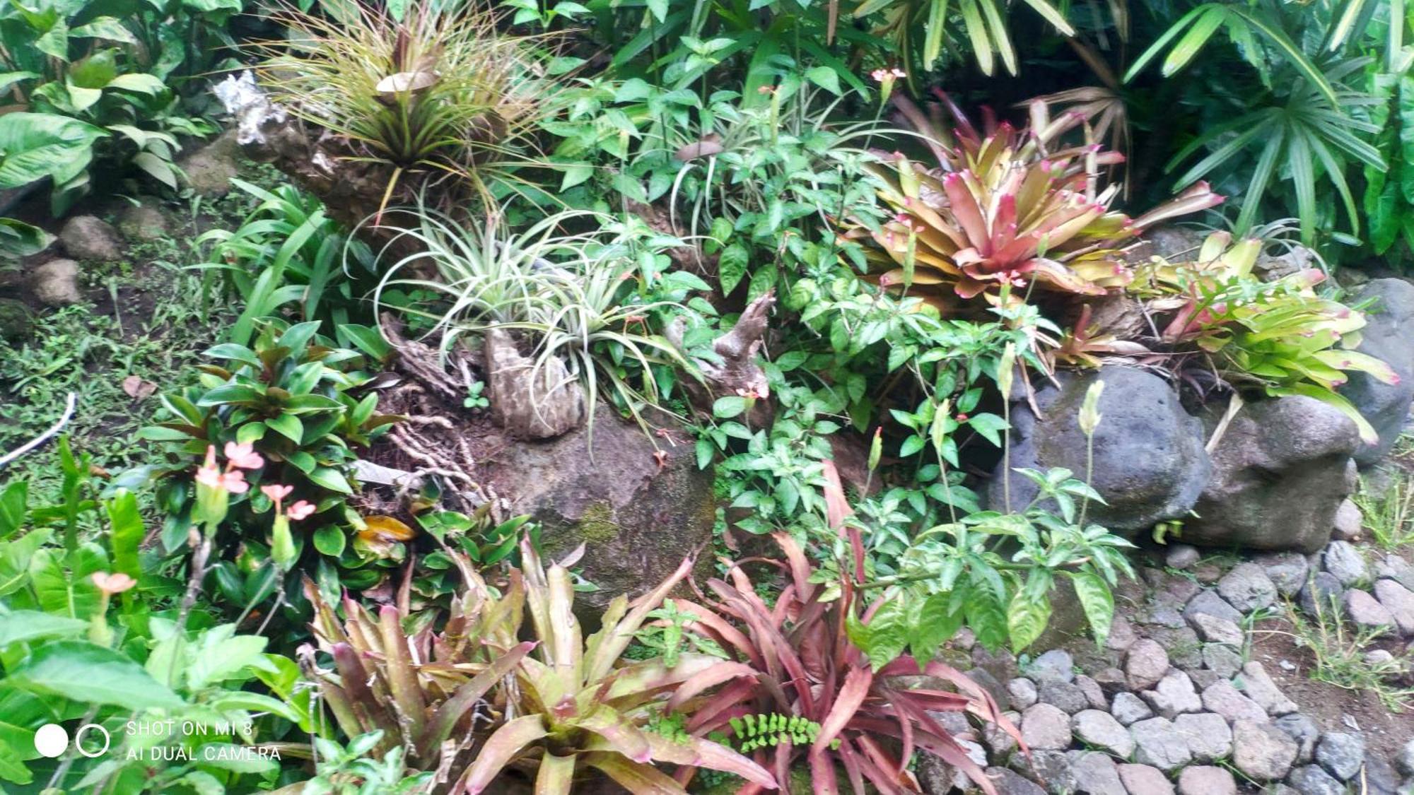 Sun House Rental Mambajao Exterior photo